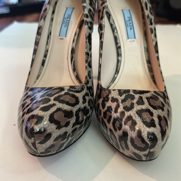 Prada Leopard heels! - Picture 8 of 9
